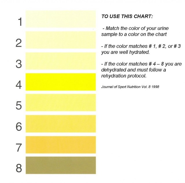 urine-color-chart